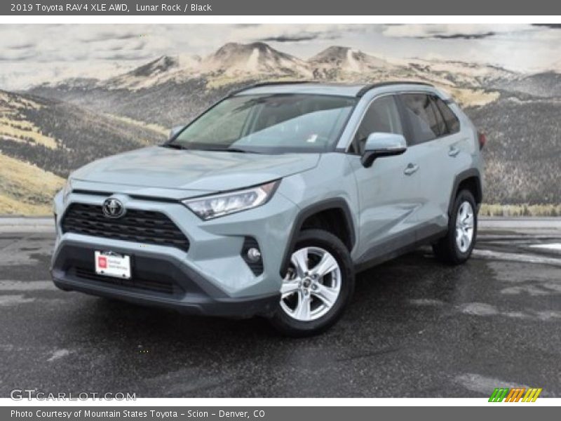 Lunar Rock / Black 2019 Toyota RAV4 XLE AWD