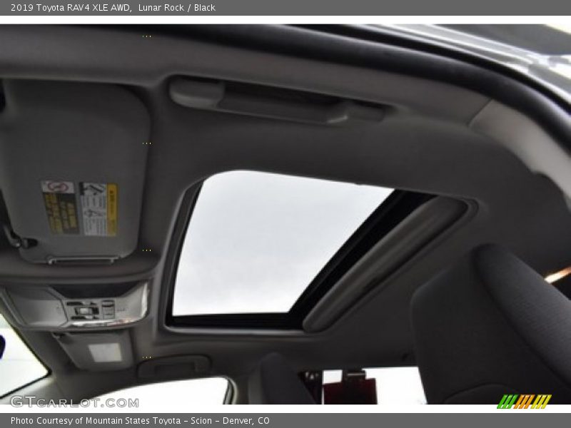 Lunar Rock / Black 2019 Toyota RAV4 XLE AWD