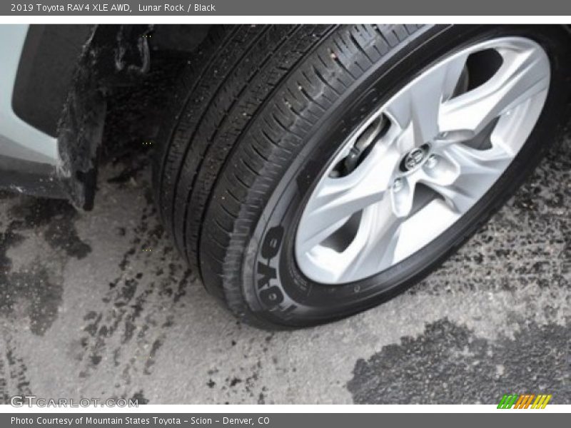 Lunar Rock / Black 2019 Toyota RAV4 XLE AWD