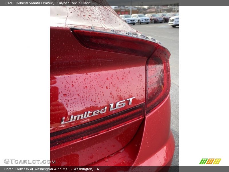  2020 Sonata Limited Logo
