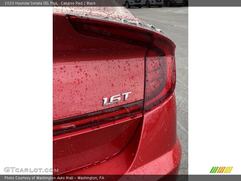 Calypso Red / Black 2020 Hyundai Sonata SEL Plus