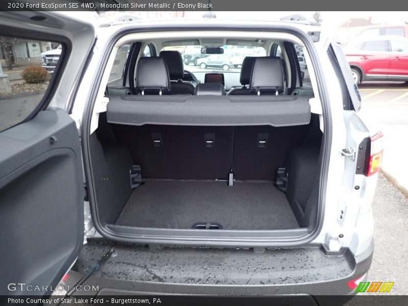 Moondust Silver Metallic / Ebony Black 2020 Ford EcoSport SES 4WD
