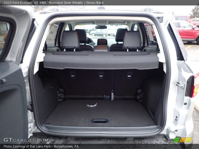 Moondust Silver Metallic / Ebony Black 2020 Ford EcoSport SES 4WD