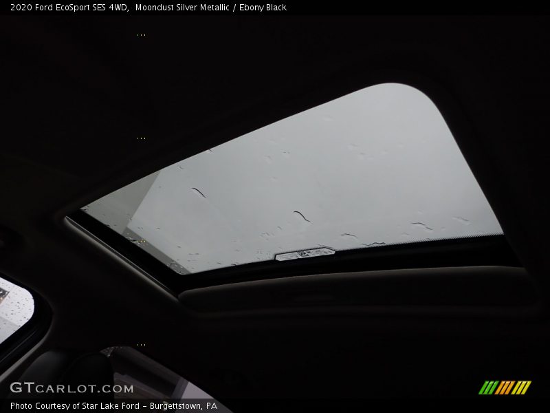 Moondust Silver Metallic / Ebony Black 2020 Ford EcoSport SES 4WD