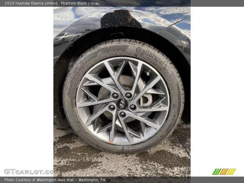 Phantom Black / Gray 2020 Hyundai Elantra Limited