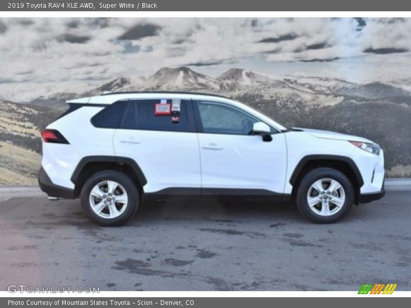 Super White / Black 2019 Toyota RAV4 XLE AWD