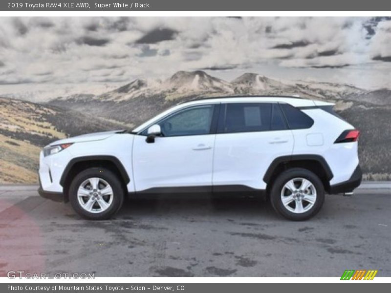 Super White / Black 2019 Toyota RAV4 XLE AWD
