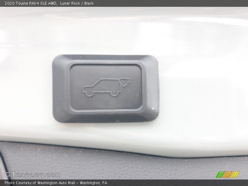 Lunar Rock / Black 2020 Toyota RAV4 XLE AWD