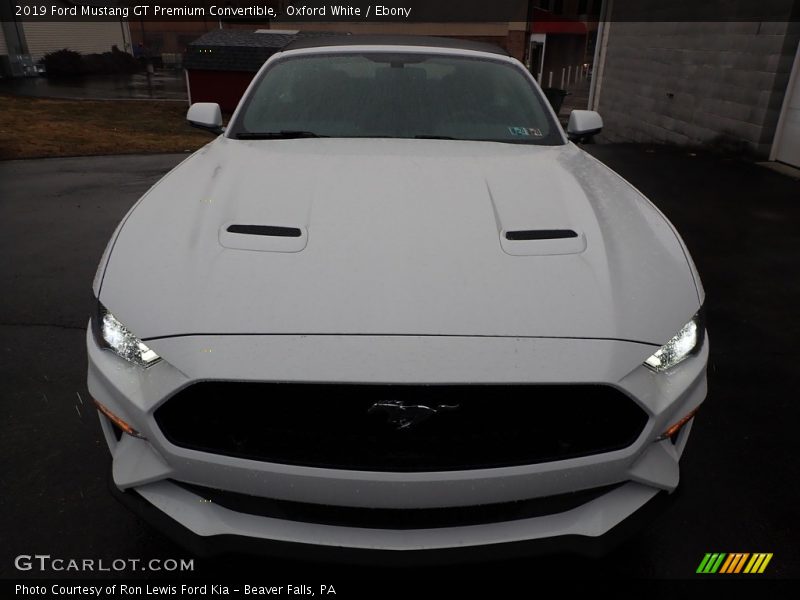Oxford White / Ebony 2019 Ford Mustang GT Premium Convertible
