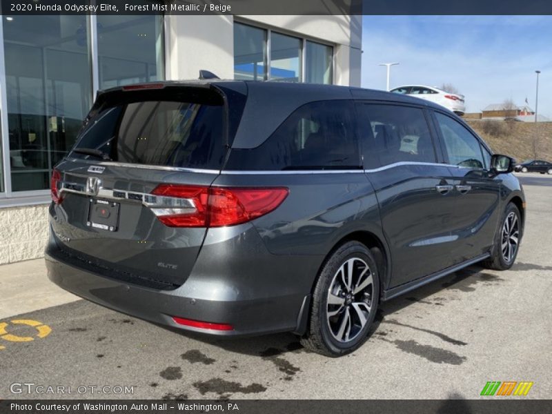 Forest Mist Metallic / Beige 2020 Honda Odyssey Elite