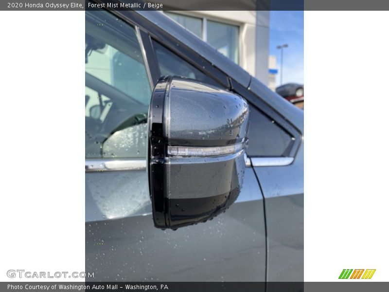 Forest Mist Metallic / Beige 2020 Honda Odyssey Elite