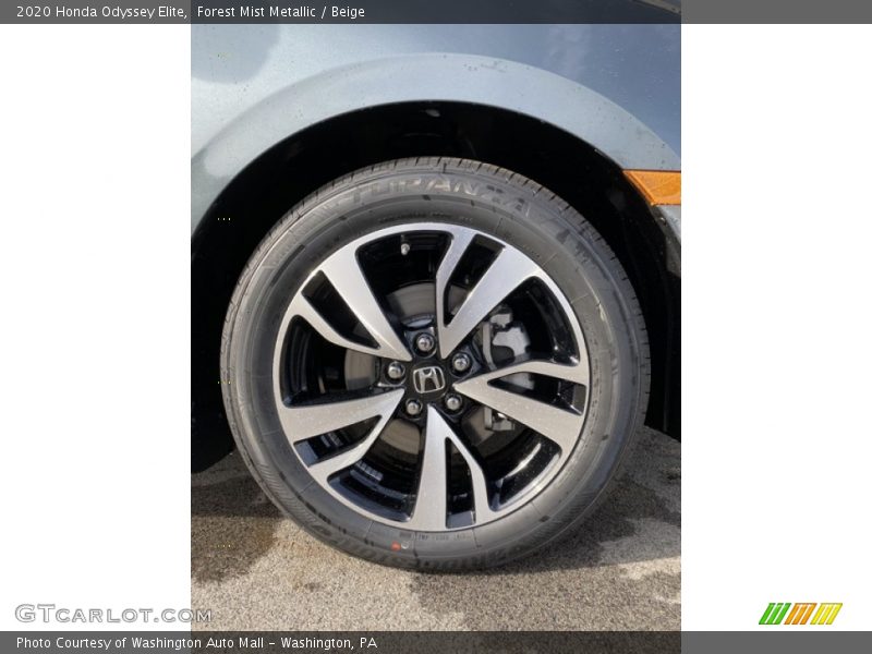 Forest Mist Metallic / Beige 2020 Honda Odyssey Elite