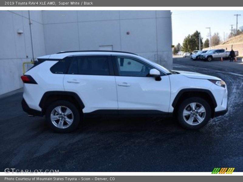 Super White / Black 2019 Toyota RAV4 XLE AWD