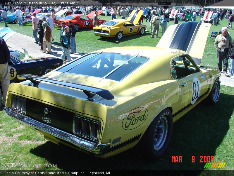 Trans Am /  1970 Ford Mustang BOSS 302