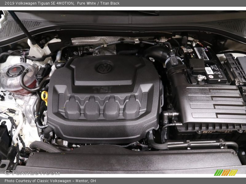 Pure White / Titan Black 2019 Volkswagen Tiguan SE 4MOTION