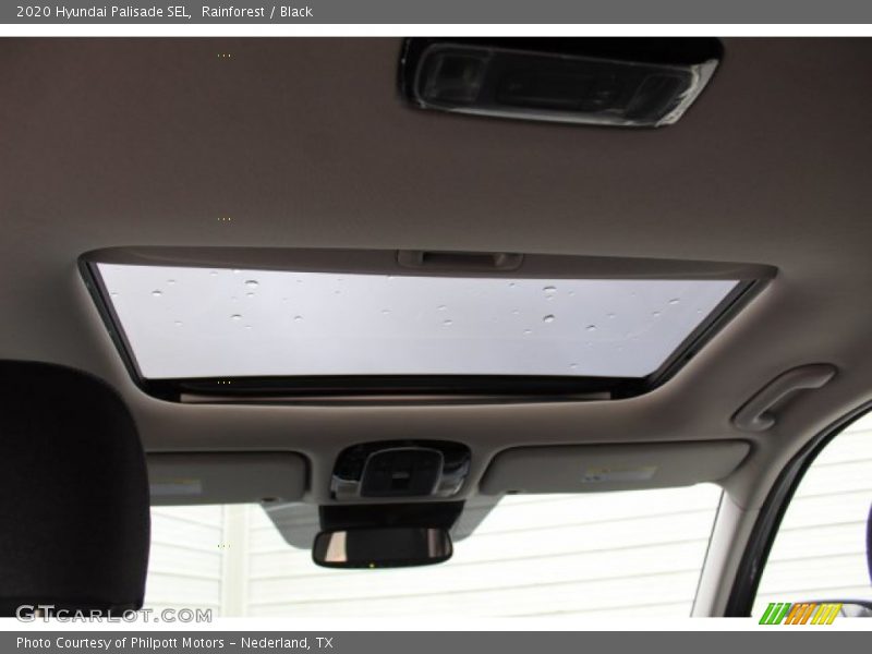 Rainforest / Black 2020 Hyundai Palisade SEL