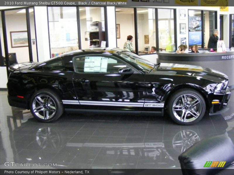 Black / Charcoal Black/White 2010 Ford Mustang Shelby GT500 Coupe