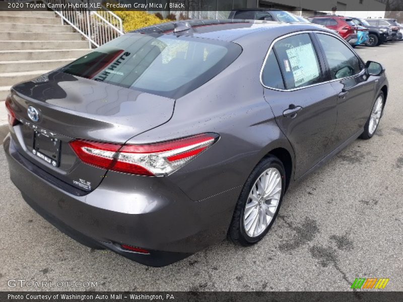 Predawn Gray Mica / Black 2020 Toyota Camry Hybrid XLE