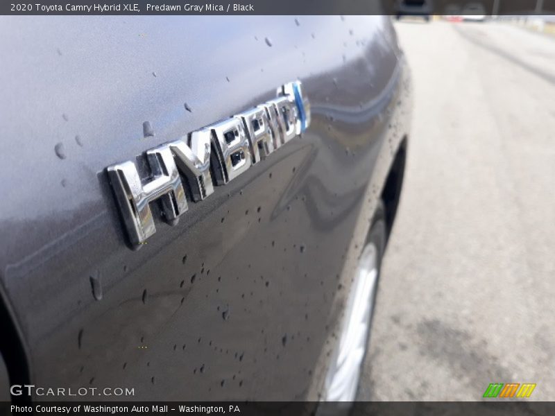 Predawn Gray Mica / Black 2020 Toyota Camry Hybrid XLE