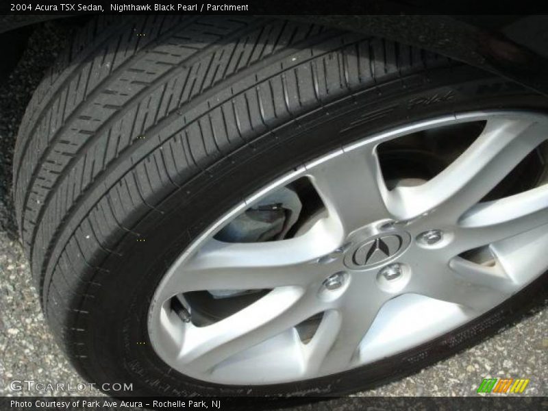 Nighthawk Black Pearl / Parchment 2004 Acura TSX Sedan