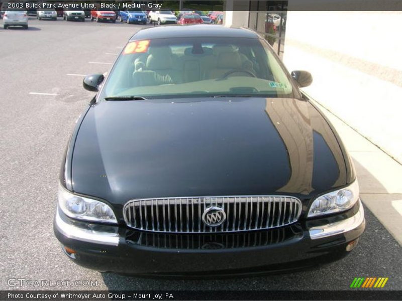 Black / Medium Gray 2003 Buick Park Avenue Ultra