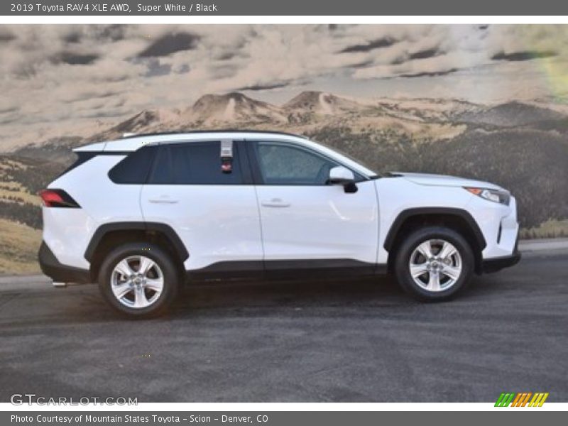 Super White / Black 2019 Toyota RAV4 XLE AWD