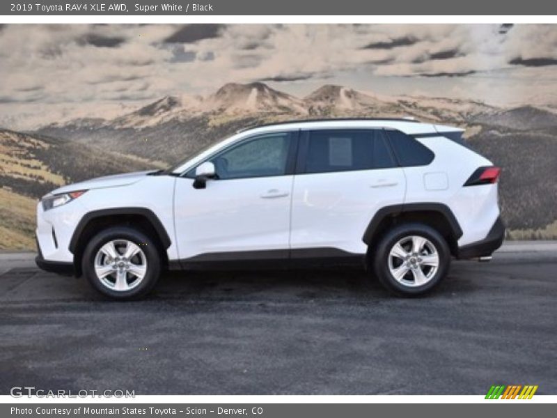 Super White / Black 2019 Toyota RAV4 XLE AWD