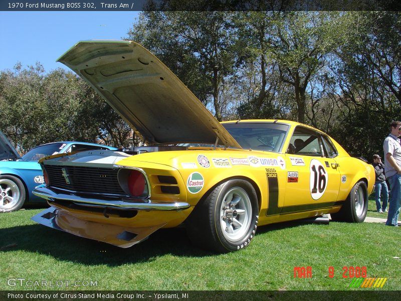 Trans Am /  1970 Ford Mustang BOSS 302
