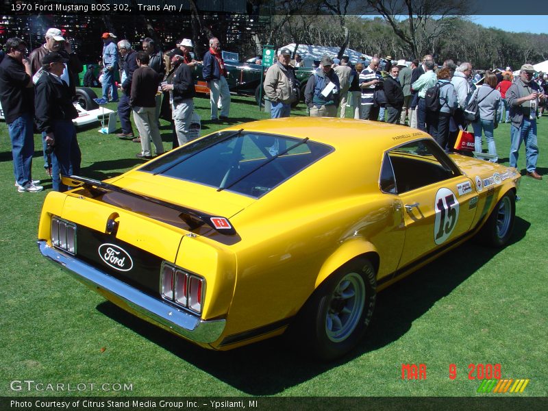 Trans Am /  1970 Ford Mustang BOSS 302
