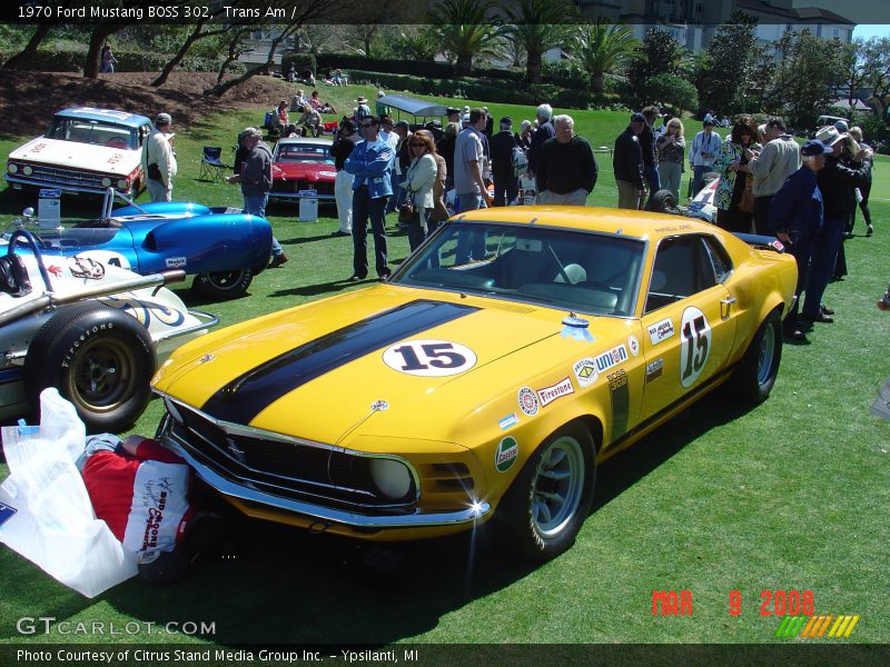 Trans Am /  1970 Ford Mustang BOSS 302