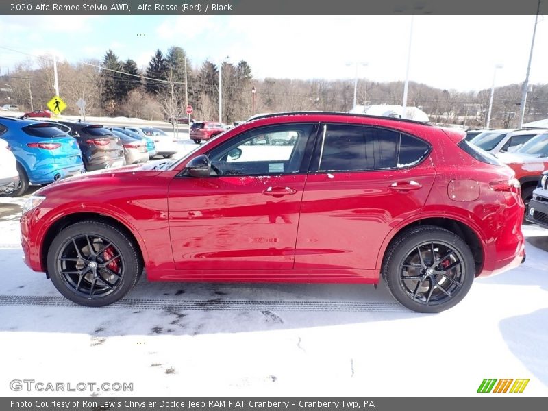  2020 Stelvio AWD Alfa Rosso (Red)
