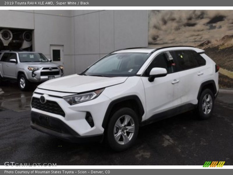 Super White / Black 2019 Toyota RAV4 XLE AWD