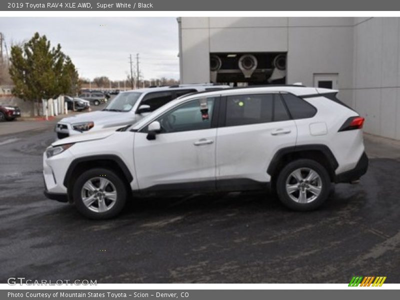 Super White / Black 2019 Toyota RAV4 XLE AWD