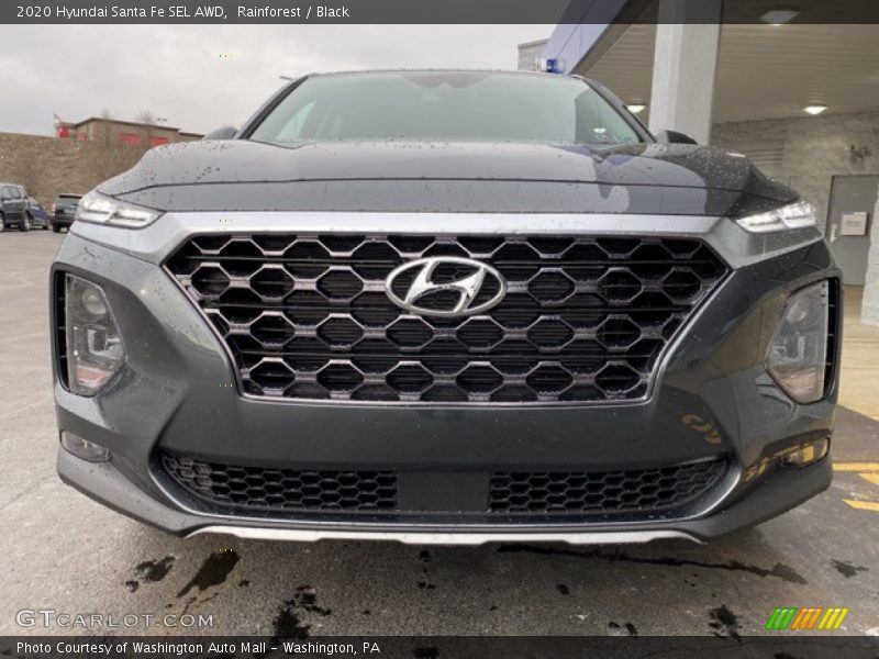 Rainforest / Black 2020 Hyundai Santa Fe SEL AWD