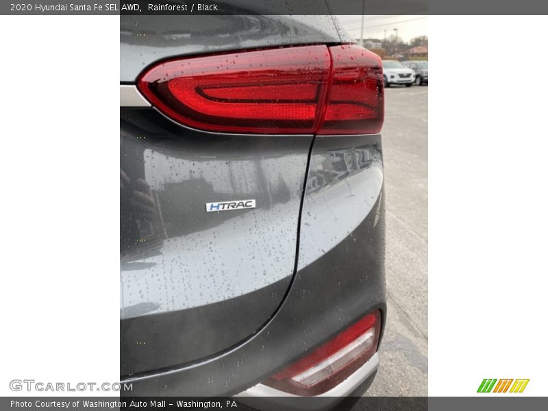 Rainforest / Black 2020 Hyundai Santa Fe SEL AWD