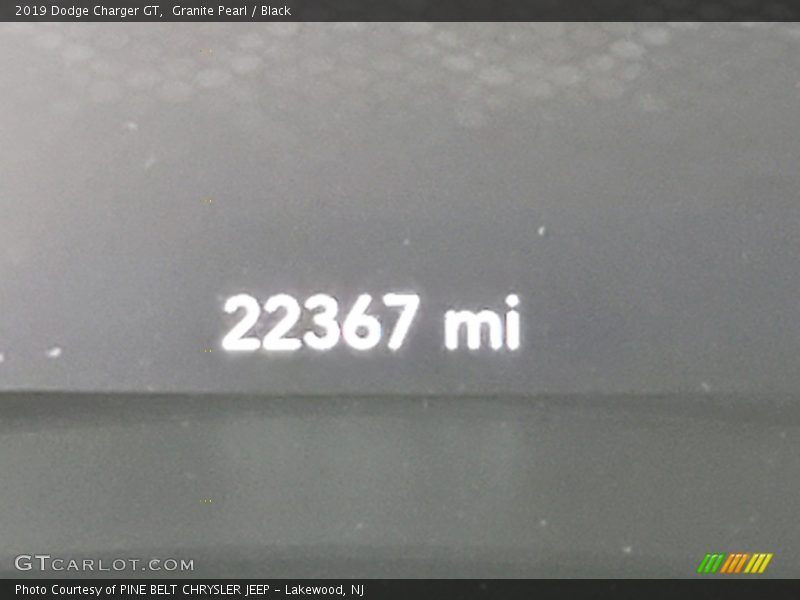 Granite Pearl / Black 2019 Dodge Charger GT