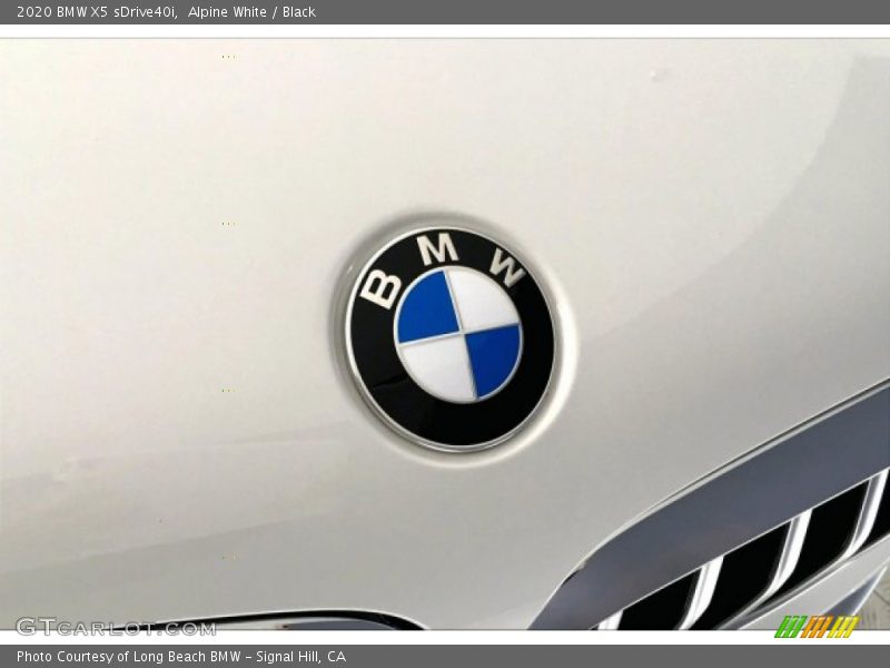 Alpine White / Black 2020 BMW X5 sDrive40i