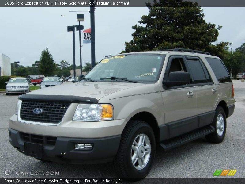 Pueblo Gold Metallic / Medium Parchment 2005 Ford Expedition XLT
