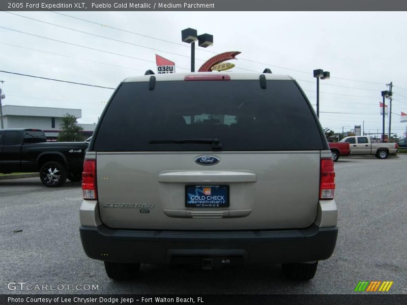 Pueblo Gold Metallic / Medium Parchment 2005 Ford Expedition XLT