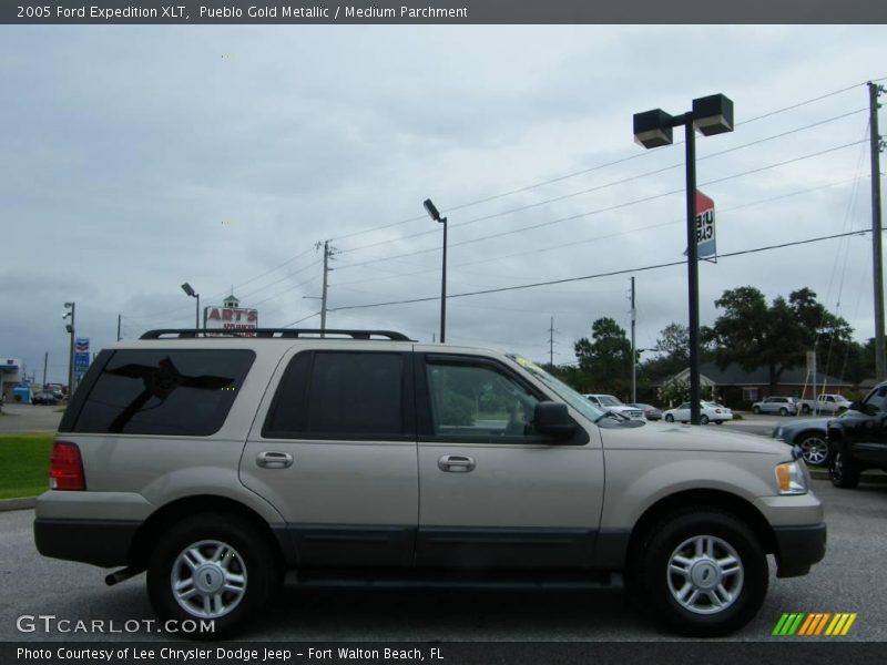 Pueblo Gold Metallic / Medium Parchment 2005 Ford Expedition XLT