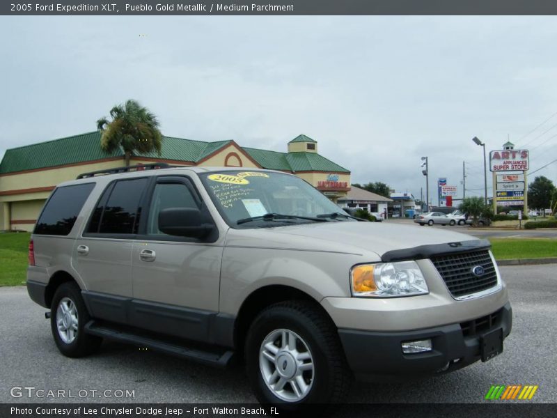Pueblo Gold Metallic / Medium Parchment 2005 Ford Expedition XLT