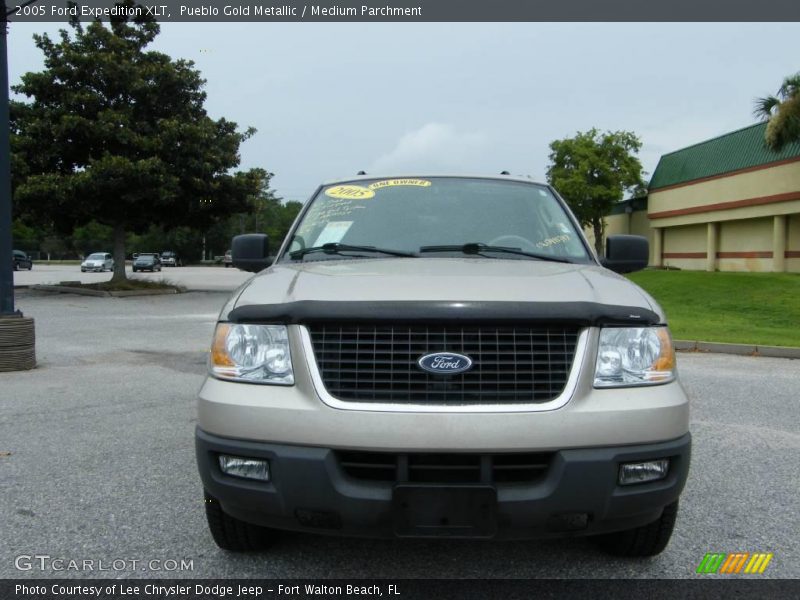 Pueblo Gold Metallic / Medium Parchment 2005 Ford Expedition XLT