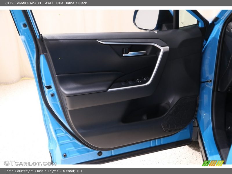 Door Panel of 2019 RAV4 XLE AWD