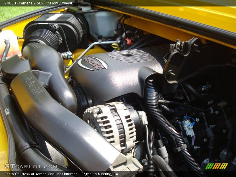 Yellow / Wheat 2003 Hummer H2 SUV