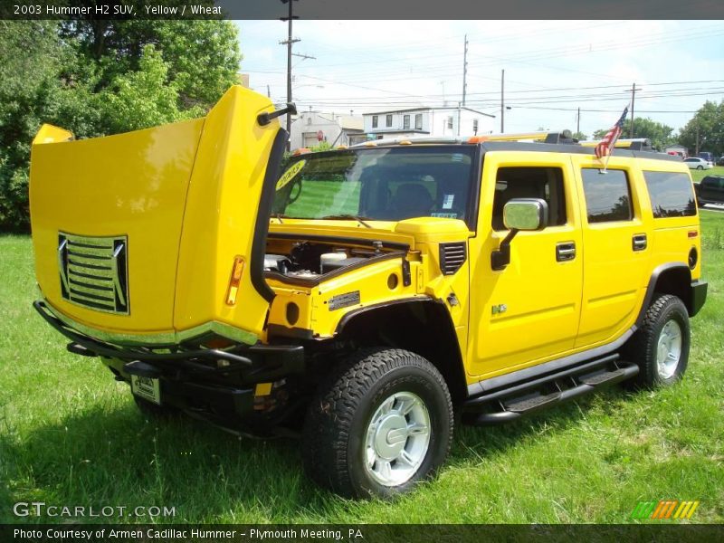 Yellow / Wheat 2003 Hummer H2 SUV