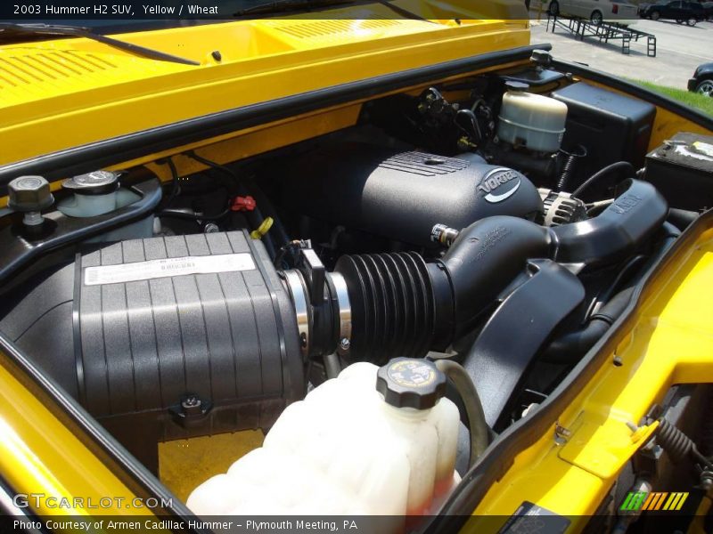 Yellow / Wheat 2003 Hummer H2 SUV