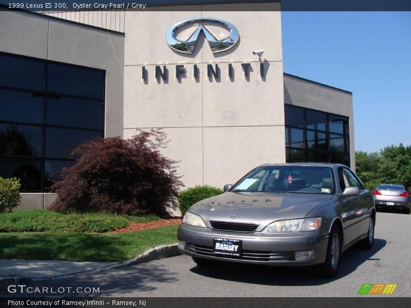 Oyster Gray Pearl / Grey 1999 Lexus ES 300