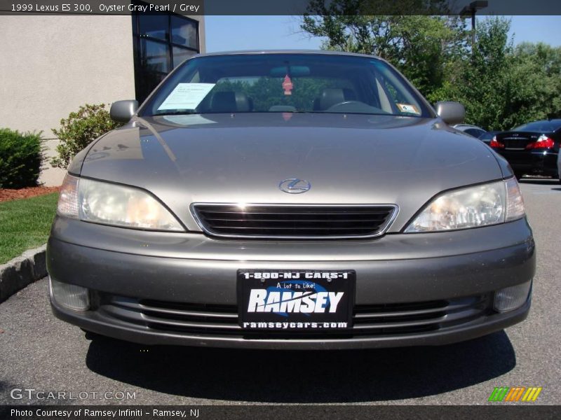 Oyster Gray Pearl / Grey 1999 Lexus ES 300