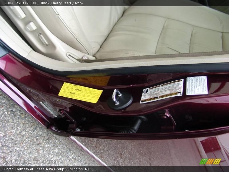Black Cherry Pearl / Ivory 2004 Lexus GS 300