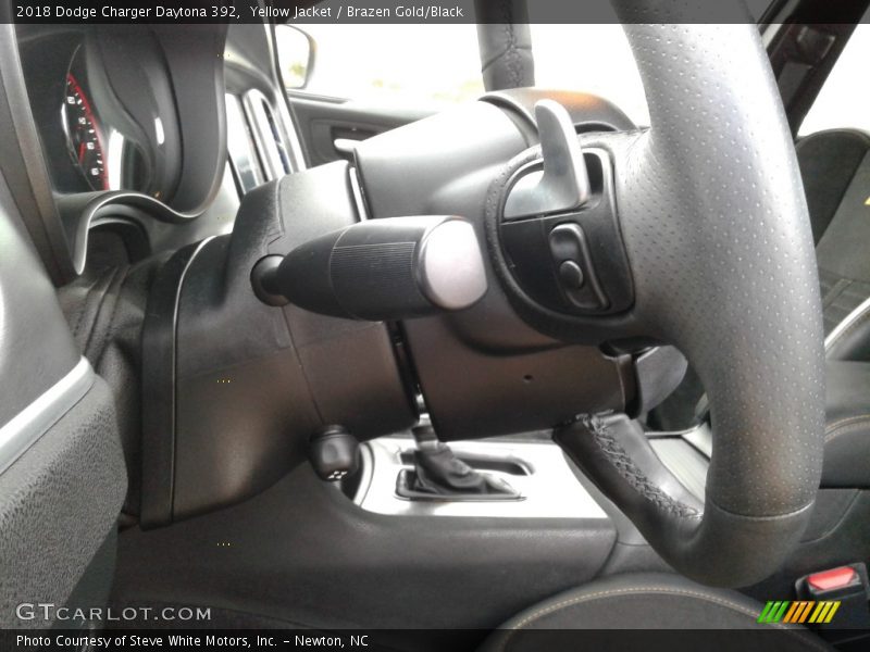 Yellow Jacket / Brazen Gold/Black 2018 Dodge Charger Daytona 392